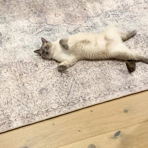 Meet your Posher, Cara